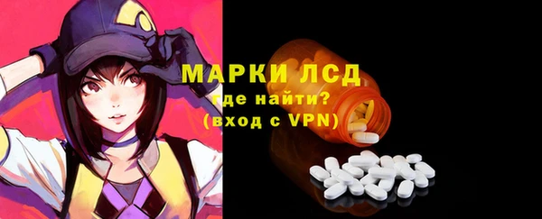 амф Магас
