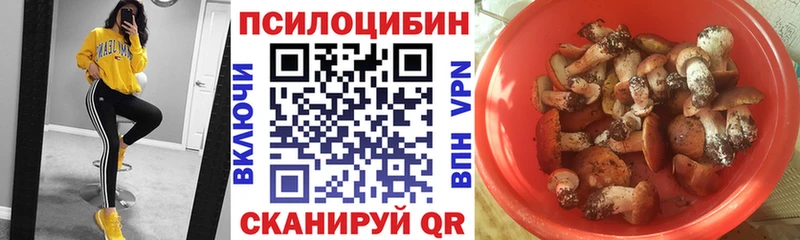 Галлюциногенные грибы мицелий  где найти наркотики  Среднеуральск 
