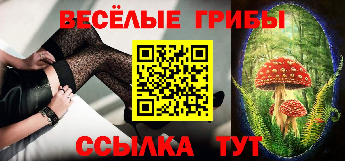 Галлюциногенные грибы прущие грибы Среднеуральск