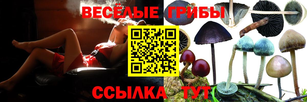 Галлюциногенные грибы GOLDEN TEACHER  Вход с VPN  цены   Среднеуральск  Галлюциногенные грибы мицелий 